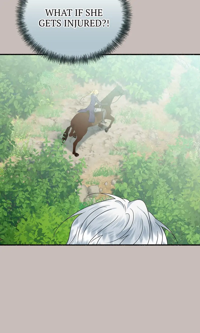 41699069 800 1333 71308