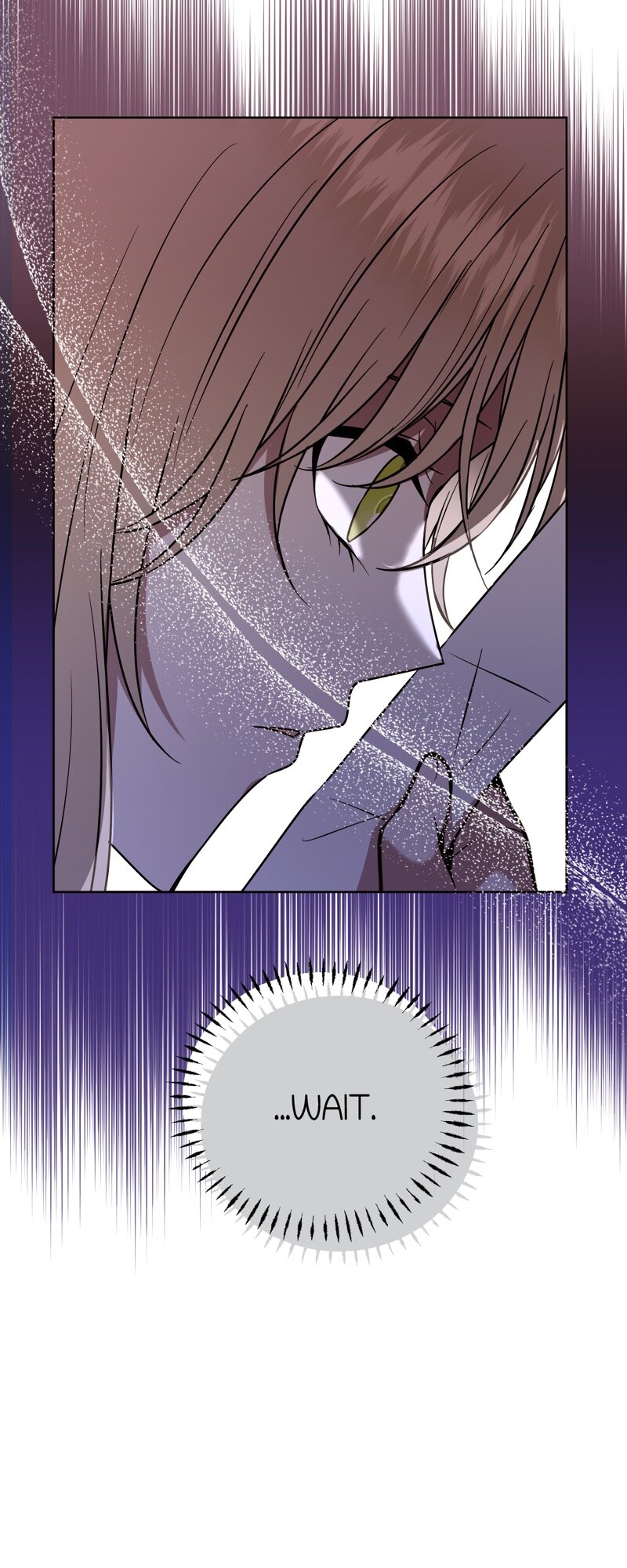 52882911 800 2000 274939