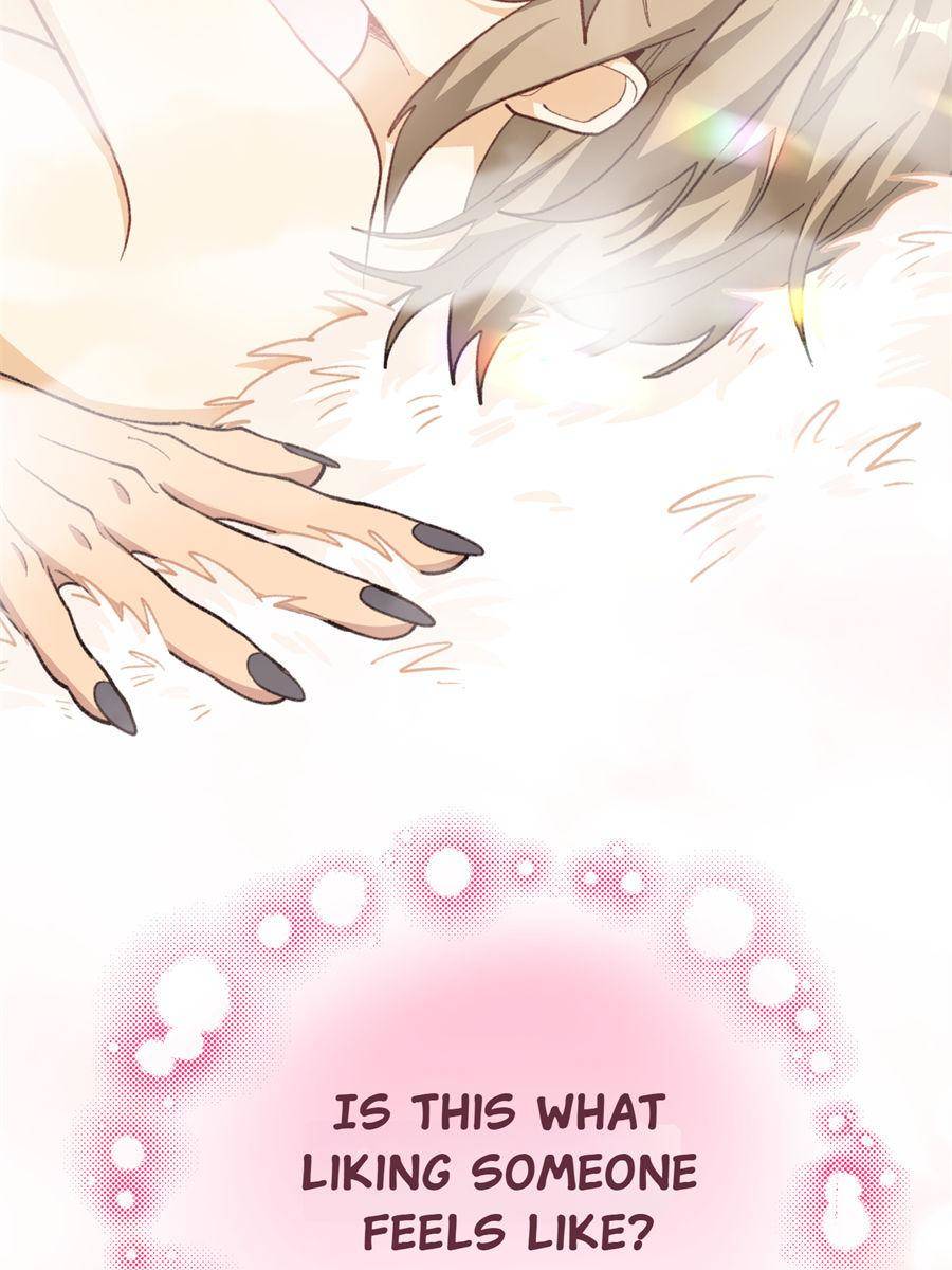 83954191 900 1200 102360